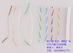 歐力格光纖網(wǎng)線 高品質(zhì)網(wǎng)絡(luò)線條邁向全球市場